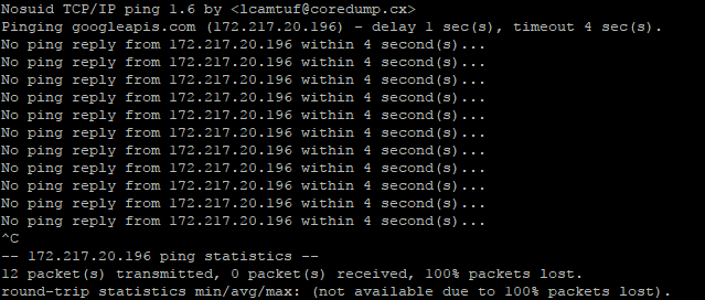 ping_googleapis_ssh.PNG