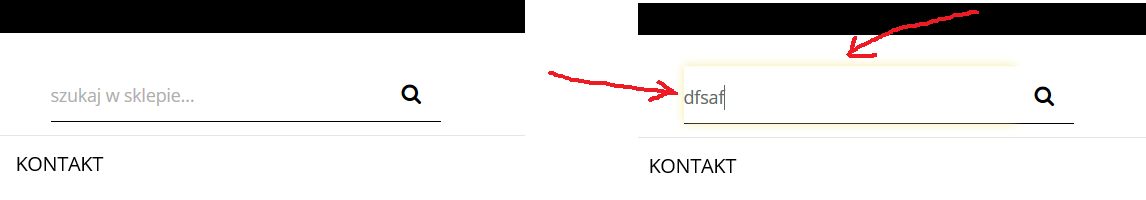 pole szukaj.png
